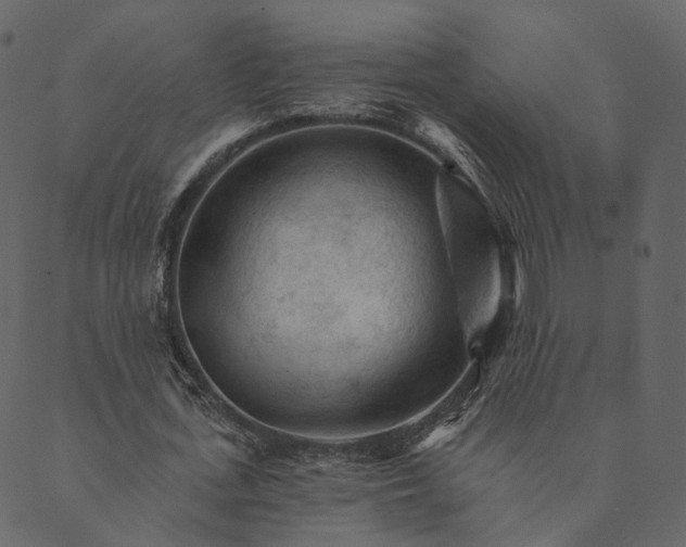 X0000089660723200707121158