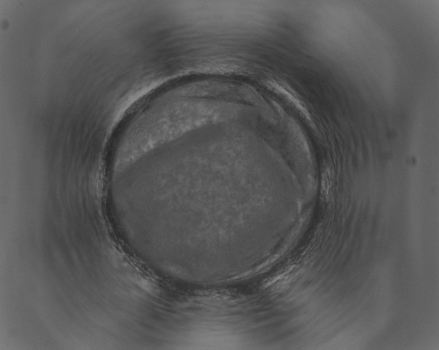 X0000089660724200707121158