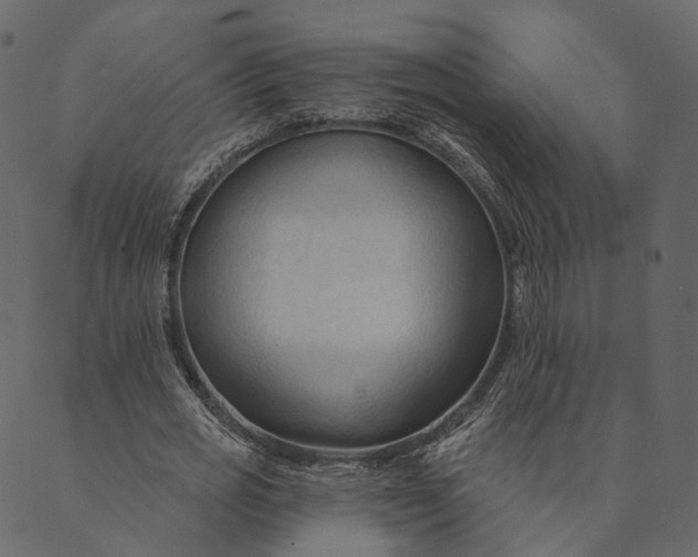 X0000089660725200707121158