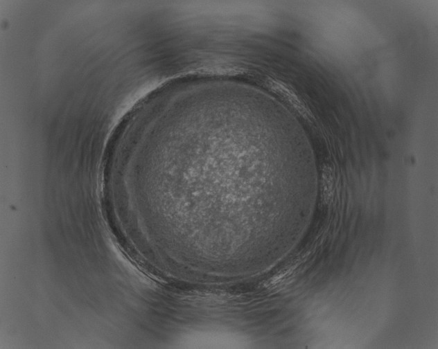 X0000089660726200707121158