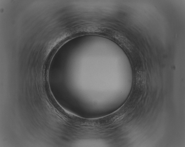 X0000089660727200707121158