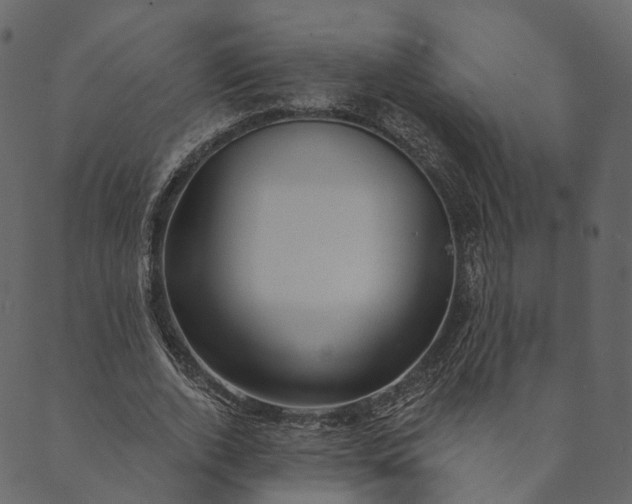 X0000089660728200707121158