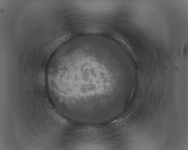 X0000089660729200707121158