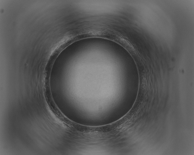 X0000089660730200707121158