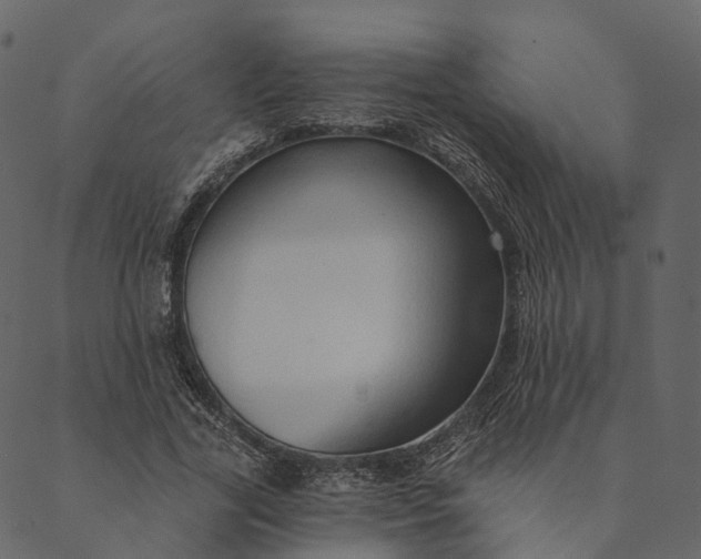 X0000089660731200707121158