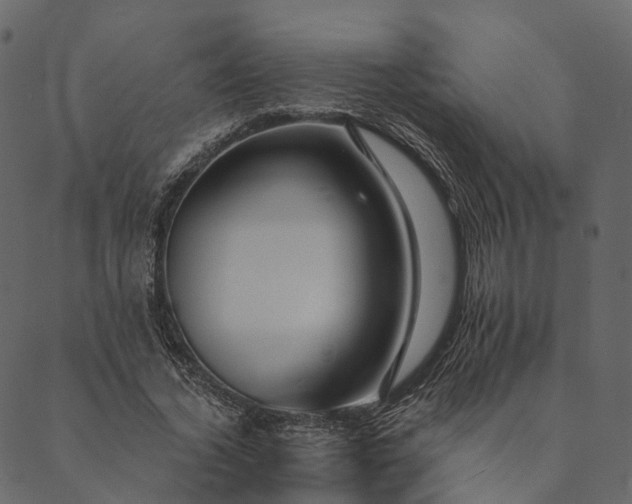 X0000089660732200707121158