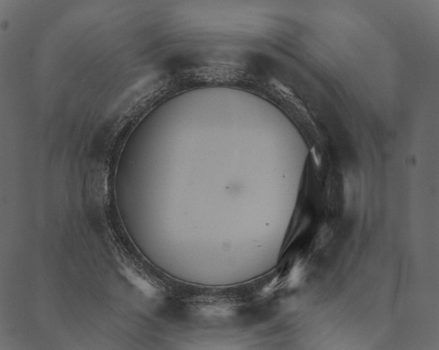 X0000089660733200707121158