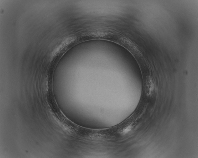 X0000089660734200707121158