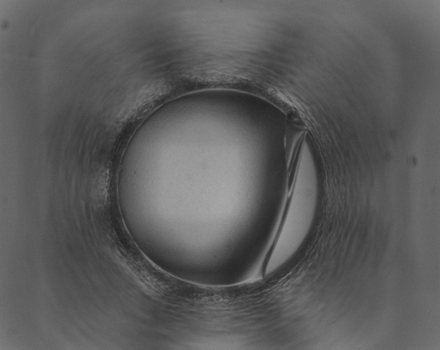 X0000089660735200707121158