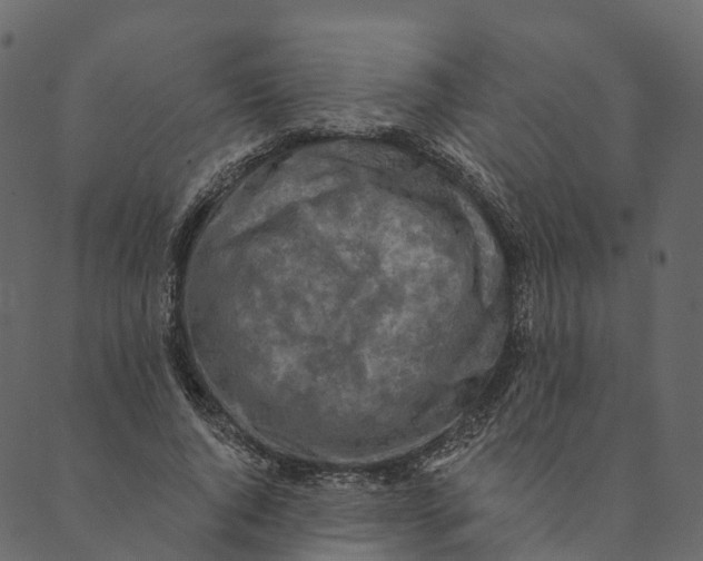 X0000089660736200707121158