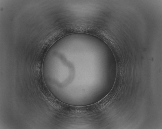 X0000089660737200707121158