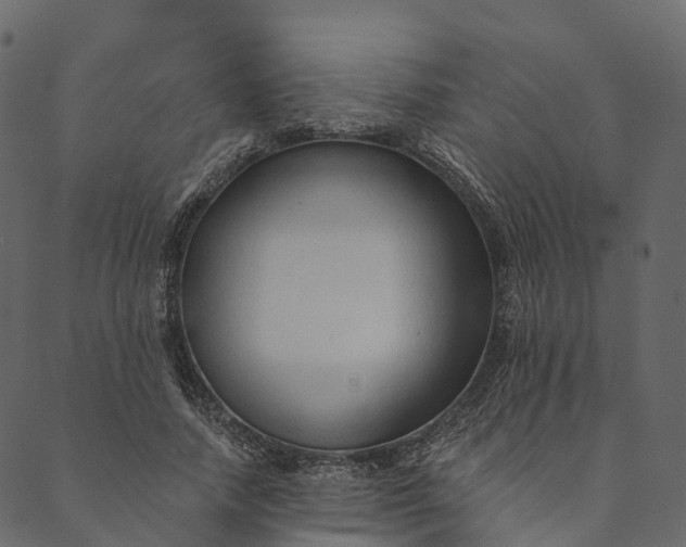 X0000089660738200707121158