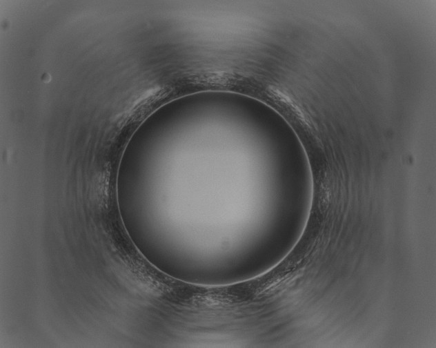 X0000089660739200707121158