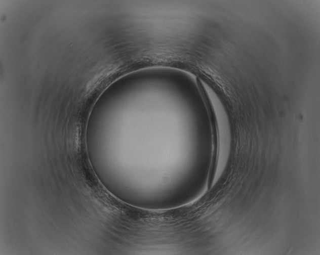 X0000089660740200707121158