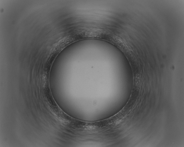 X0000089660741200707121158