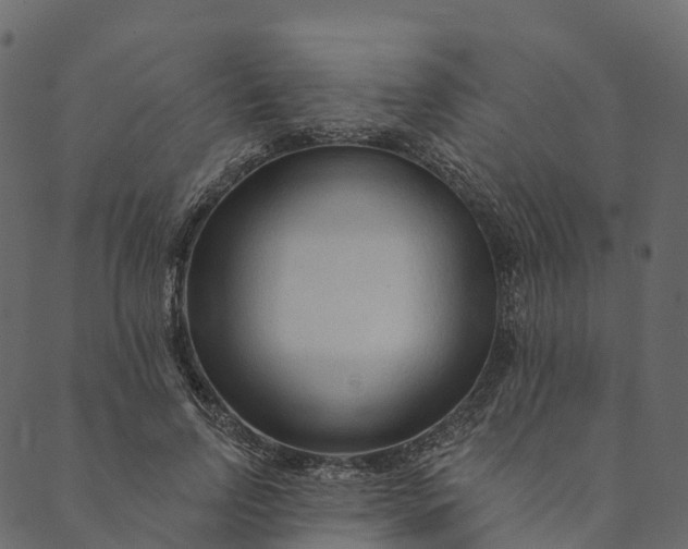 X0000089660742200707121158