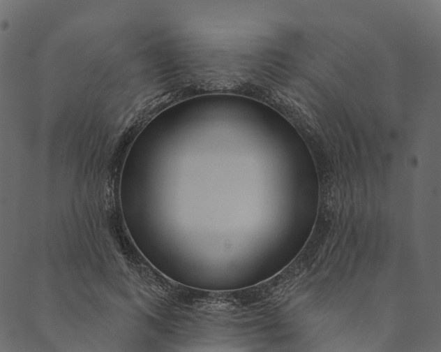 X0000089660743200707121158