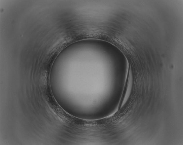 X0000089660744200707121158