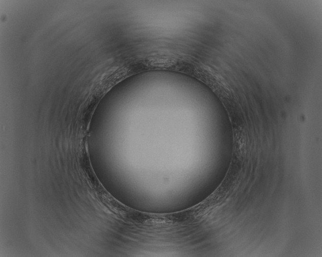 X0000089660745200707121158