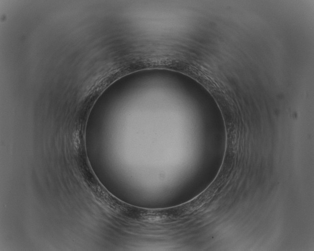 X0000089660746200707121158