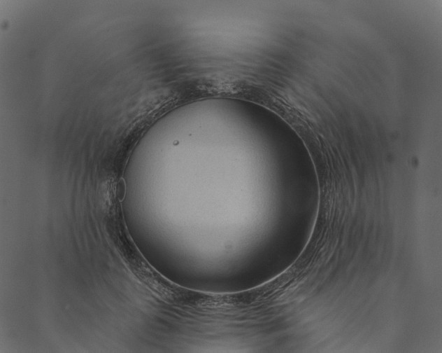 X0000089660747200707121158