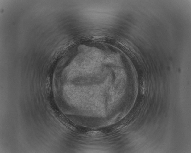 X0000089660748200707121158