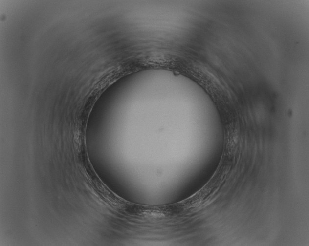 X0000089660749200707121158