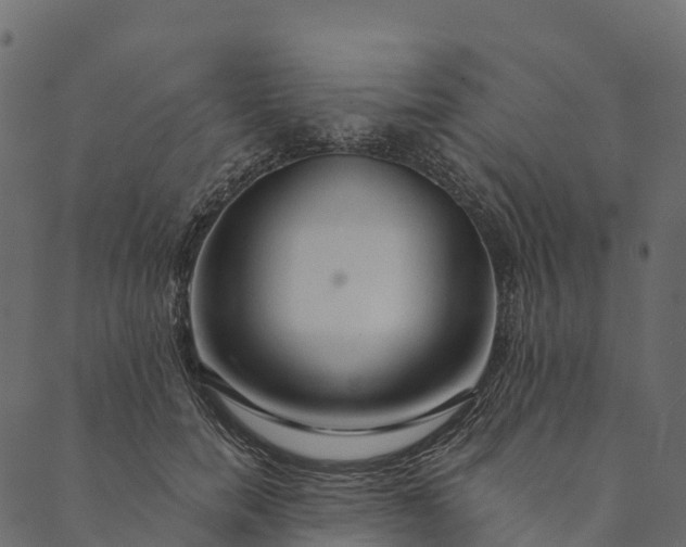 X0000089660750200707121158