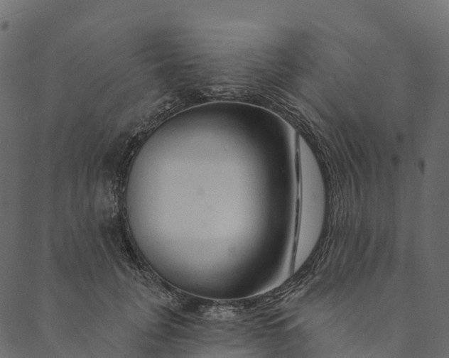 X0000089660751200707121158