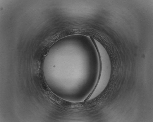 X0000089660752200707121158