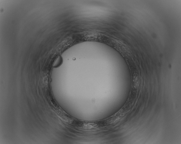 X0000089660753200707121158