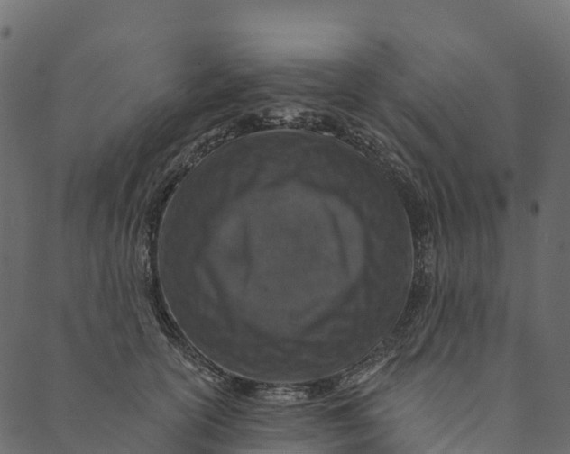 X0000089660754200707121158