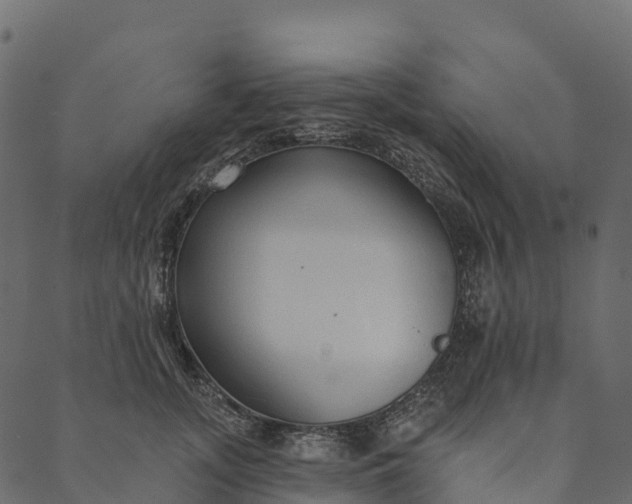 X0000089660755200707121158