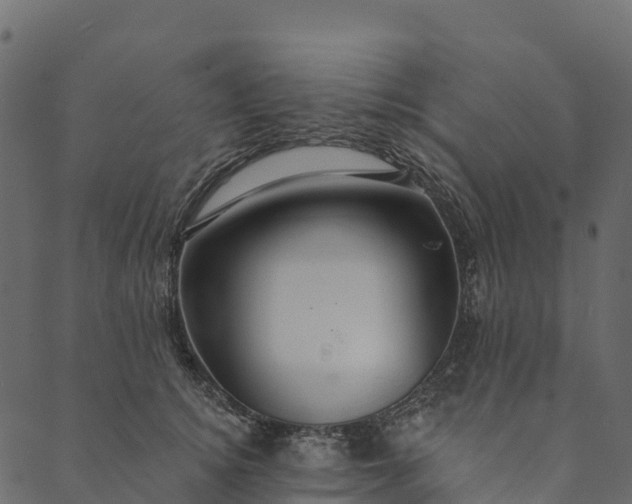 X0000089660756200707121158