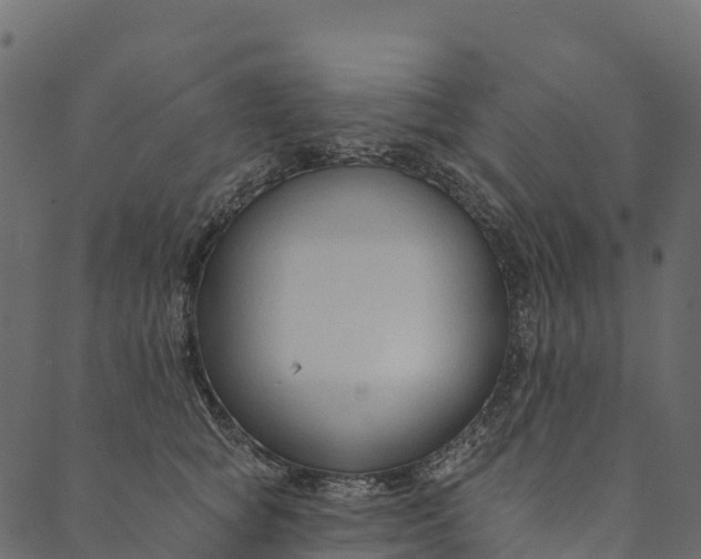 X0000089660757200707121158