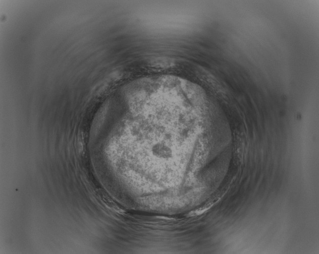 X0000089660758200707121158