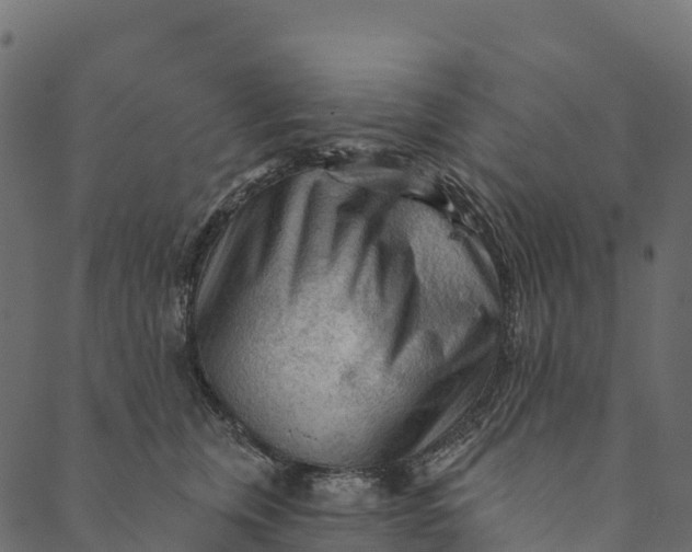 X0000089660759200707121158