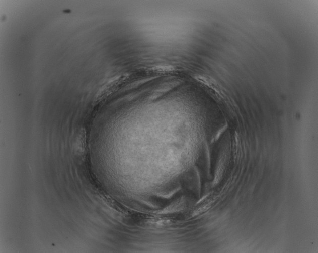 X0000089660760200707121158