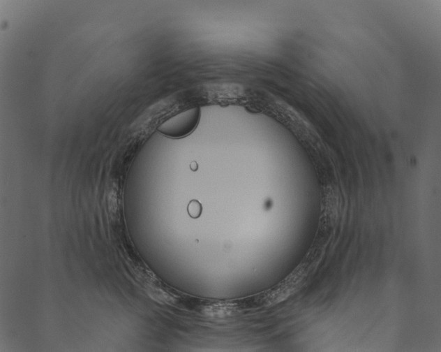 X0000089660761200707121159