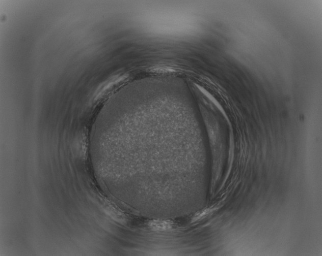 X0000089660762200707121159