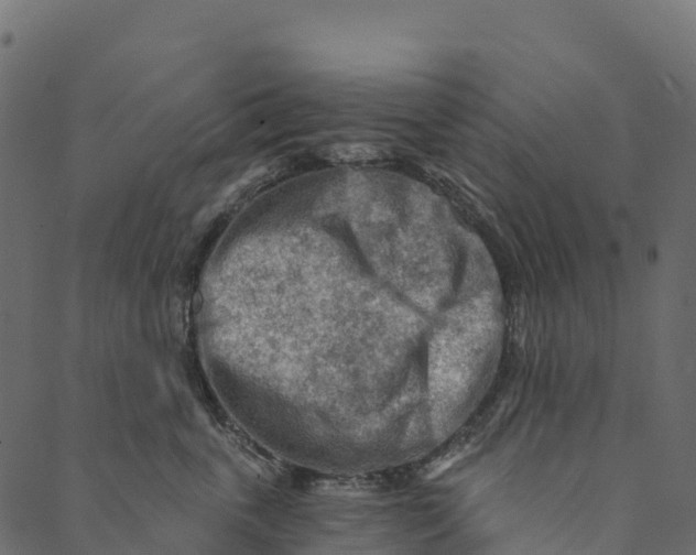 X0000089660763200707121159