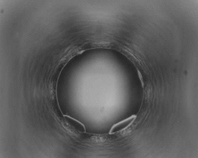 X0000089660764200707121159