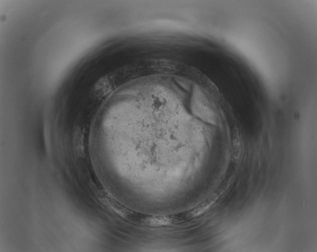 X0000089660765200707121159