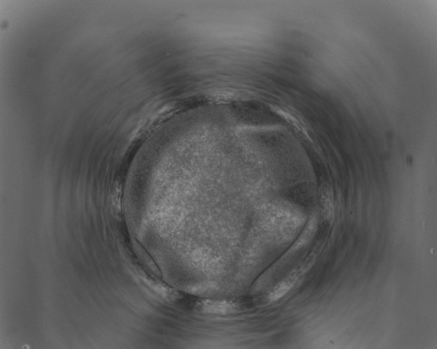 X0000089660766200707121159