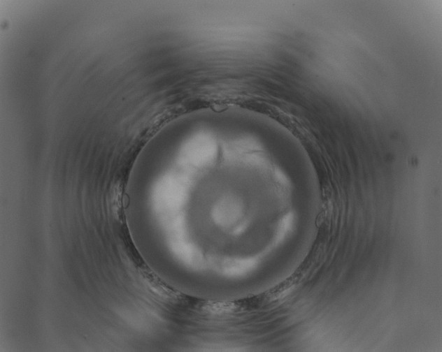 X0000089660767200707121159