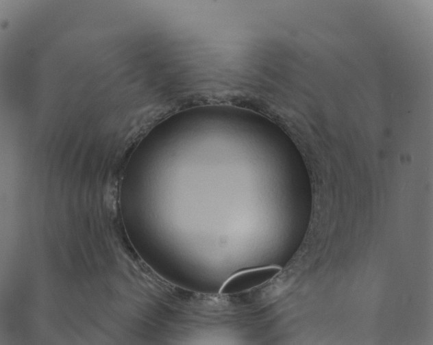 X0000089660768200707121159