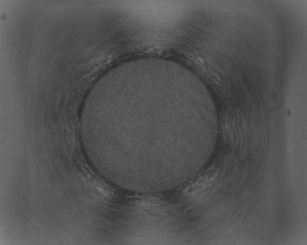 X0000089660769200707121158