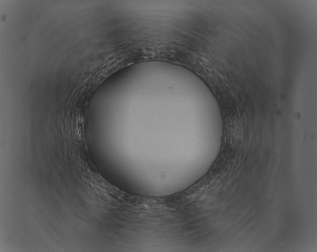 X0000089660770200707121158