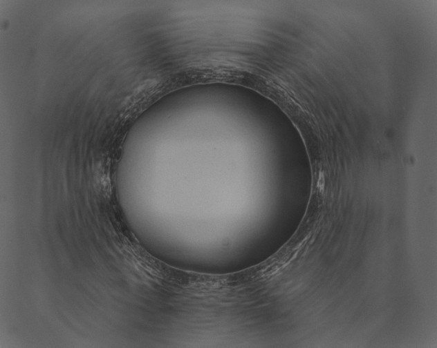 X0000089660771200707121158