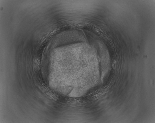 X0000089660772200707121158